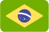 Brazil Flag